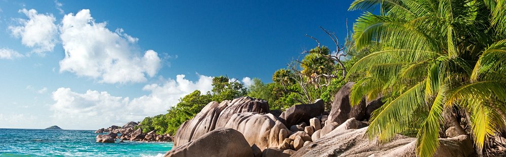 Musha cay