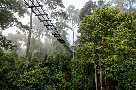 Danum Valley