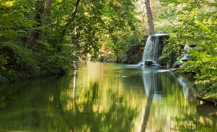 Le bois de Vincennes 3