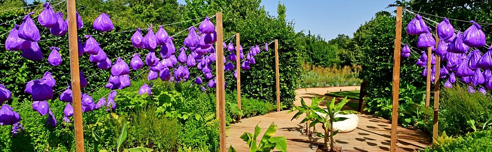 Les jardins de Chaumont-sur-Loire