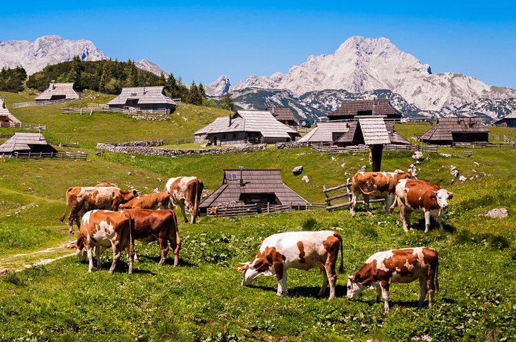 Les maisons de bois de Velika Planina 2