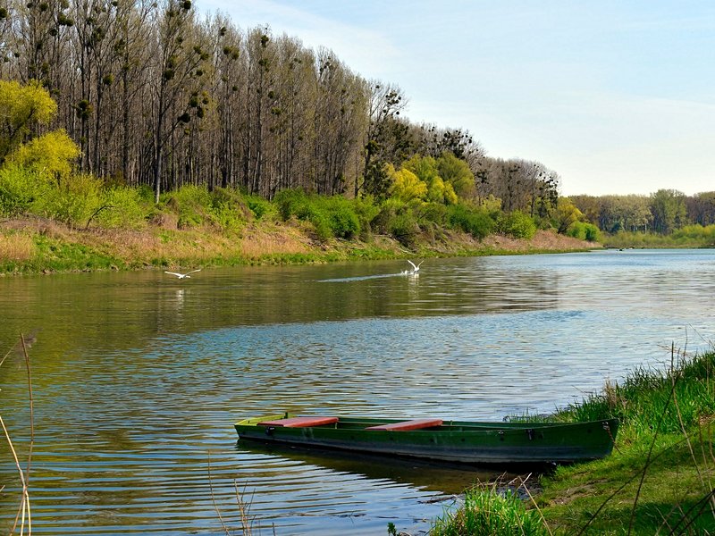 Le parc national Danube-Auen