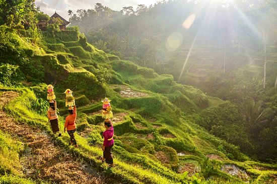 Bali