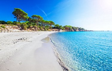 La plage de Palombaggia