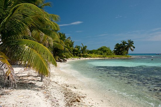 Caye Laughing Bird