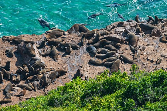 Robberg Nature Reserve