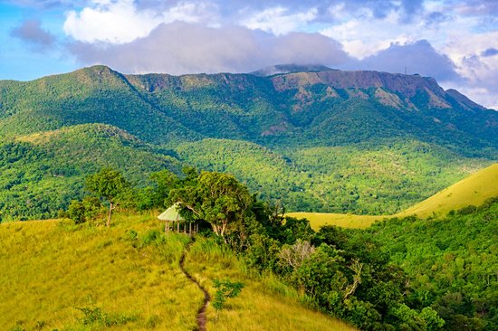 Grimper au sommet du mont Tapyas