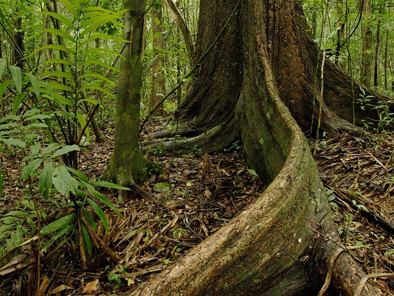Parc national Chagres