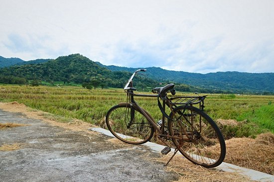 Autour de Yogyakarta (Java)