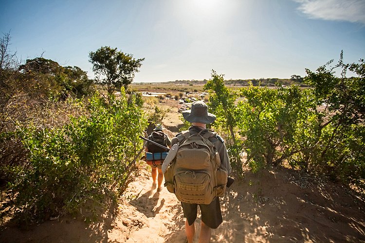 Peut-on randonner dans le parc Kruger ?