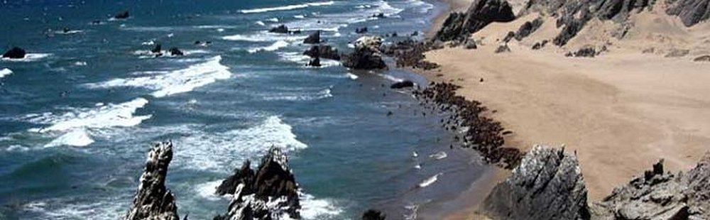 Punta Nunura o Shode