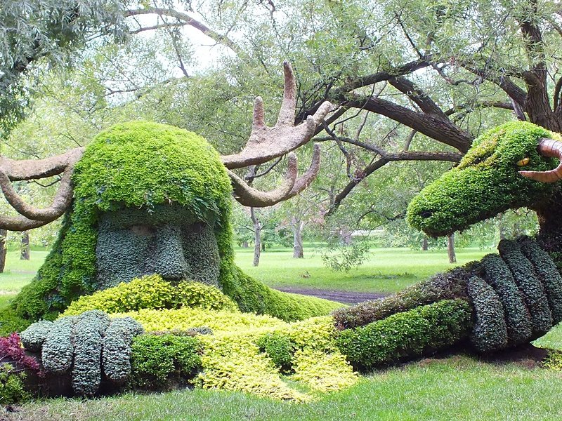 Le Jardin botanique