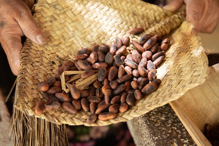 Mexique – Tabasco et Chiapas