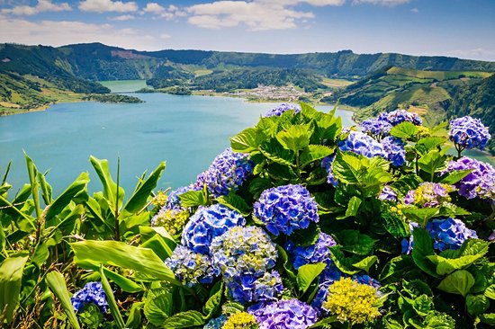 L'île de Flores