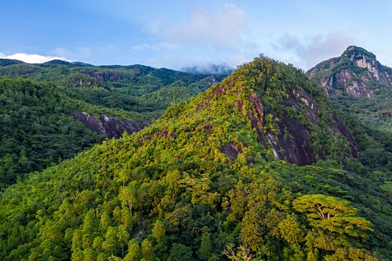 Morne Seychellois