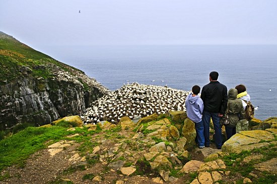 Réserve écologique de Cape St Mary