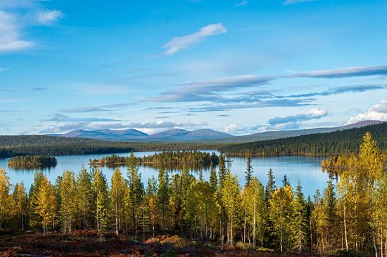 Parc national de Pallas-Yllästunturi