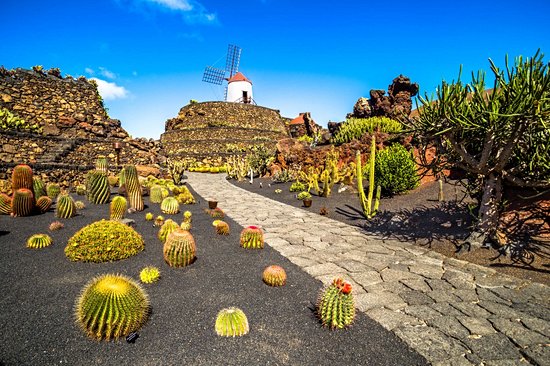 Jardin des Cactus