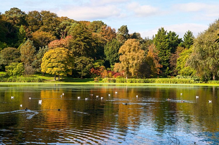 Le manoir familial de Mount Stewart 3