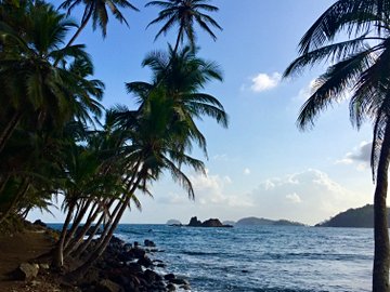 Île de Mamey