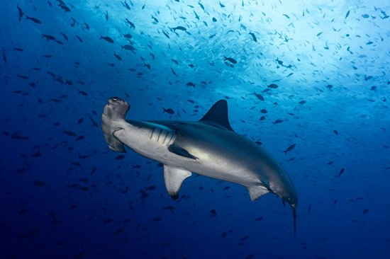 Vaavu Atoll
