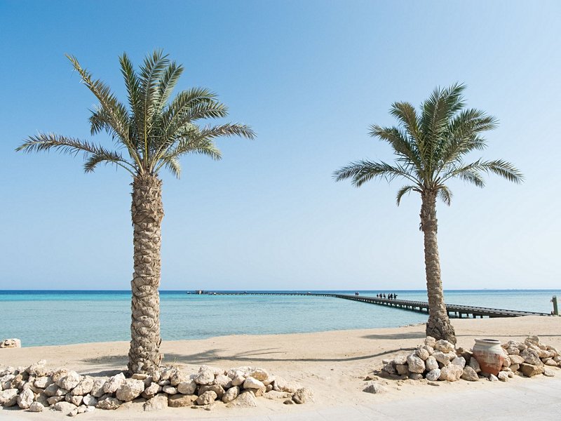 Baie de Soma, Safaga