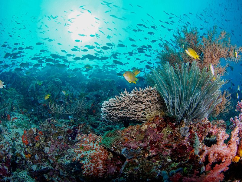 Parc de Pulau Menjangan