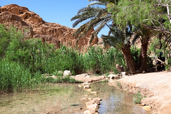Ksar Ghilane