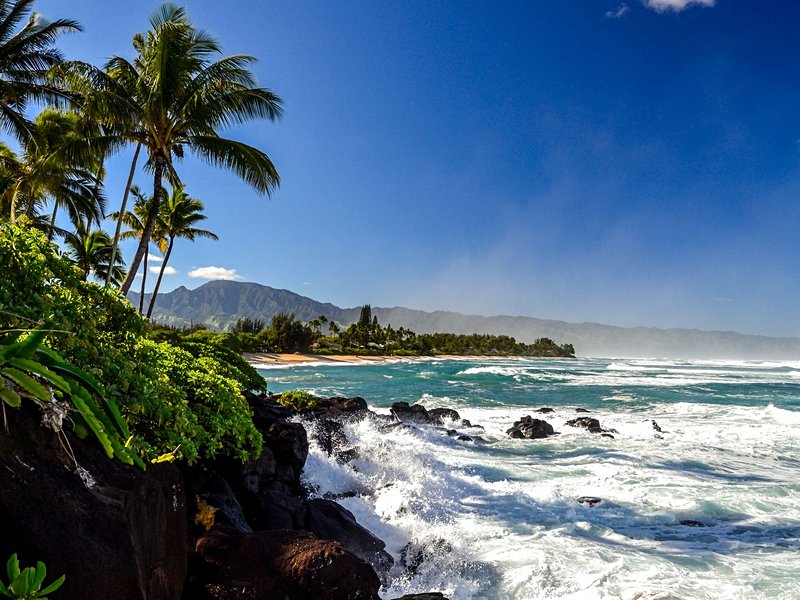 North Shore