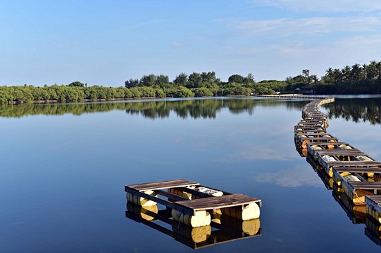 Le lac salé de Gili Meno