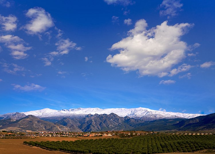 Montagnes de la Sierra Nevada