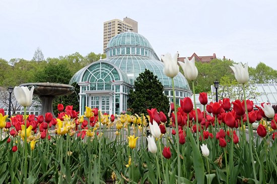 Jardin botanique de Brooklyn