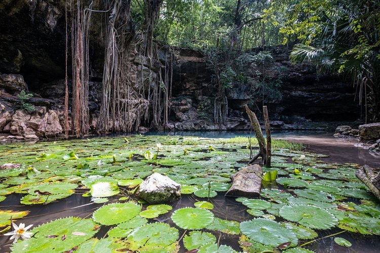 Cenotes X-batun & Dzombakal, San Antonio de Mulix 2