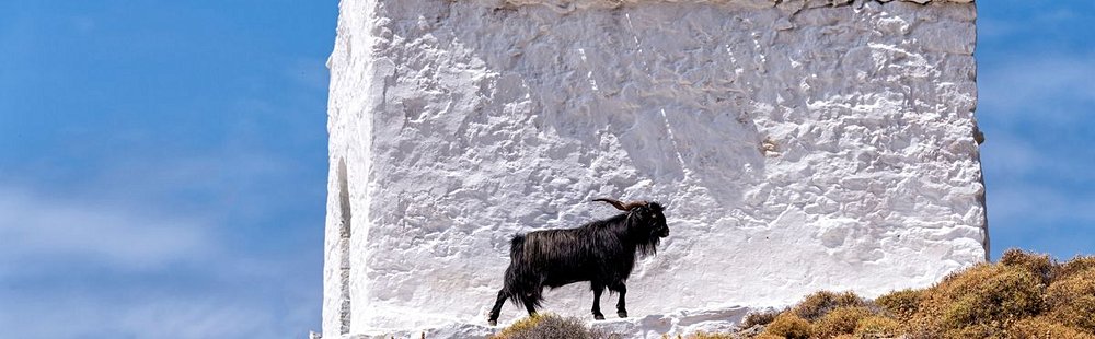 Les randonnées pédestres ou à cheval