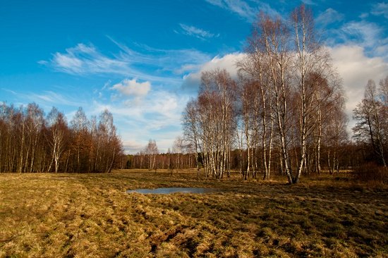 Parc national de Kampinos