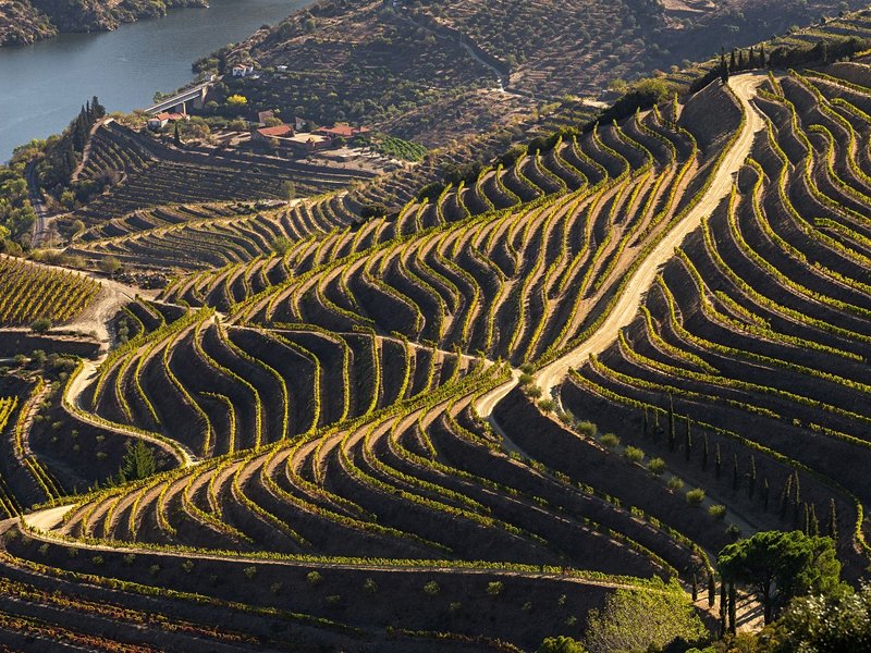 Vallée du Douro