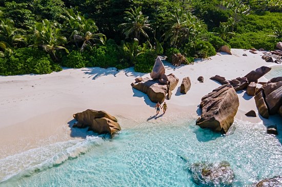 Île aux Oiseaux