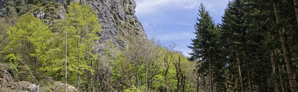 La montagne bourbonnaise