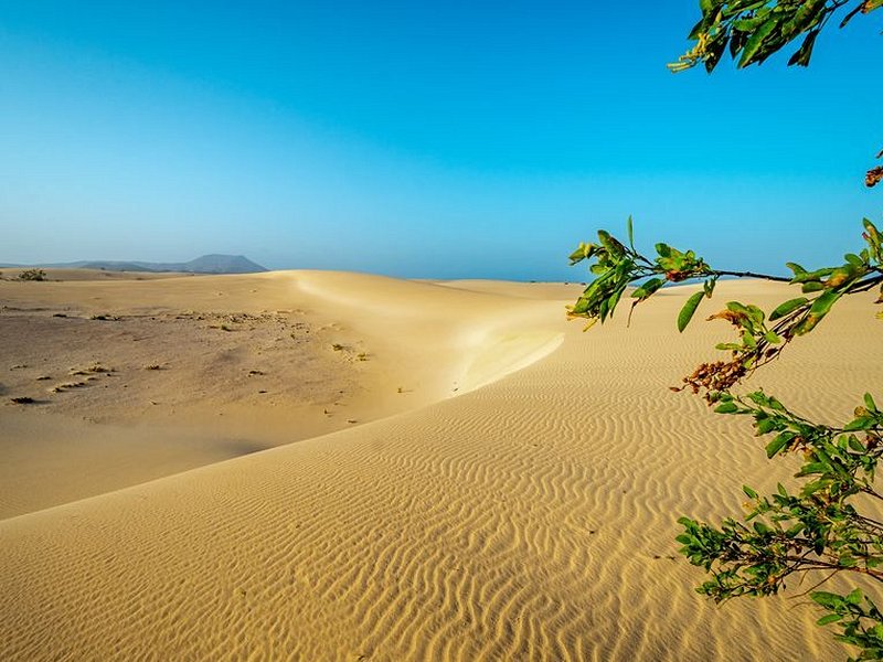 Parc des dunes de Corralejo