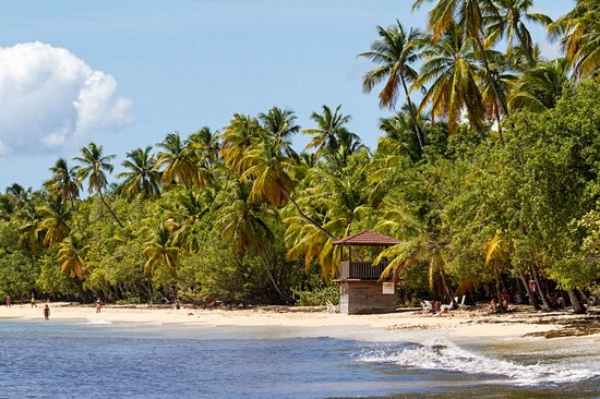 La plage de la Grande Anse des Salines