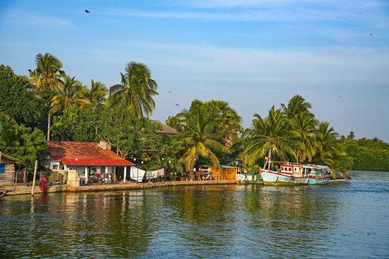 Lagon de Negombo
