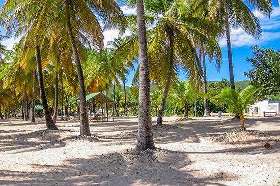 Anse du Souffleur, La Désirade