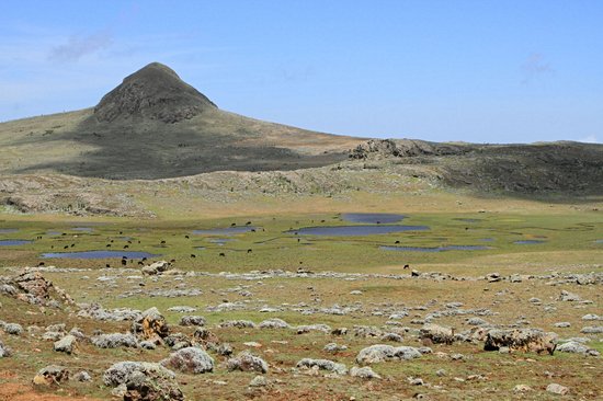 Parc national du Mont Balé