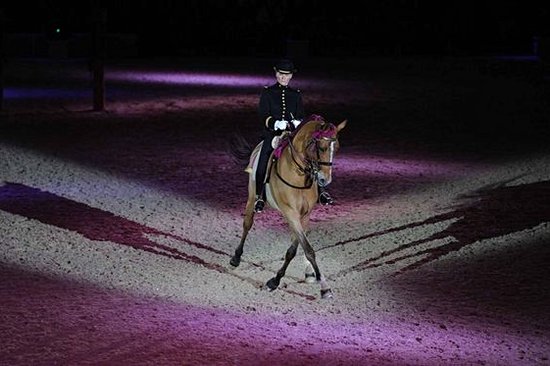 Voir un spectacle équestre à Saumur