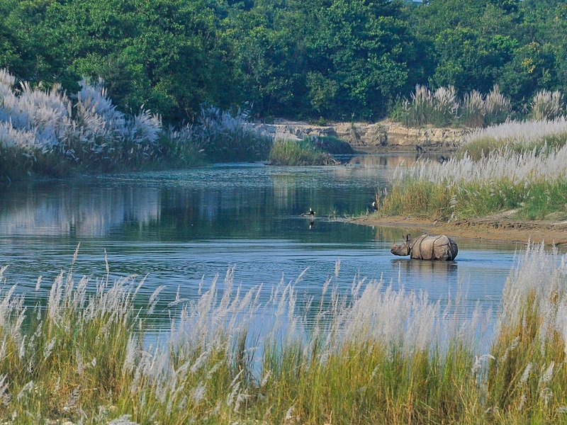 Parc national de Bardia