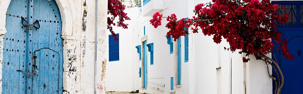 Sidi Bou Saïd