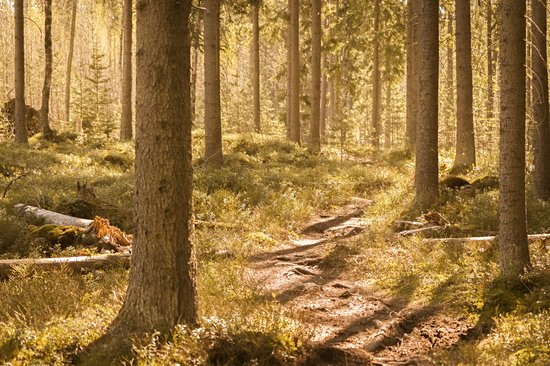 Parc national de Sipoonkorpi