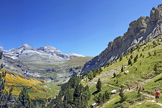 Parc national du Mont Balé