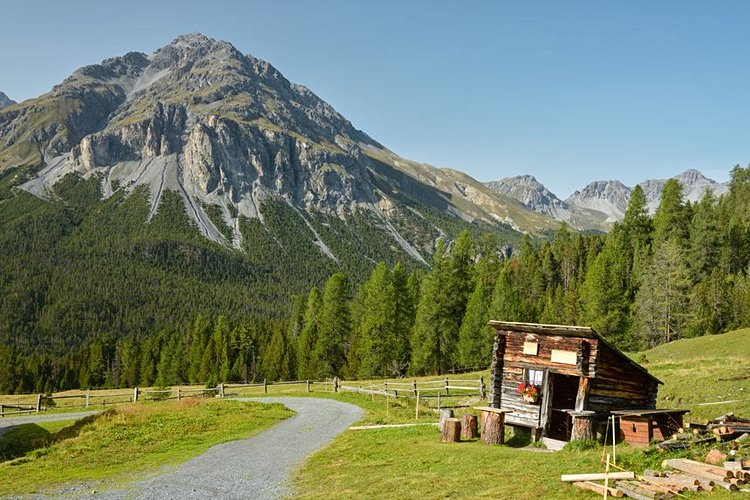 Le parc national Suisse