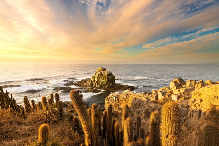 Punta de Lobos - Chili